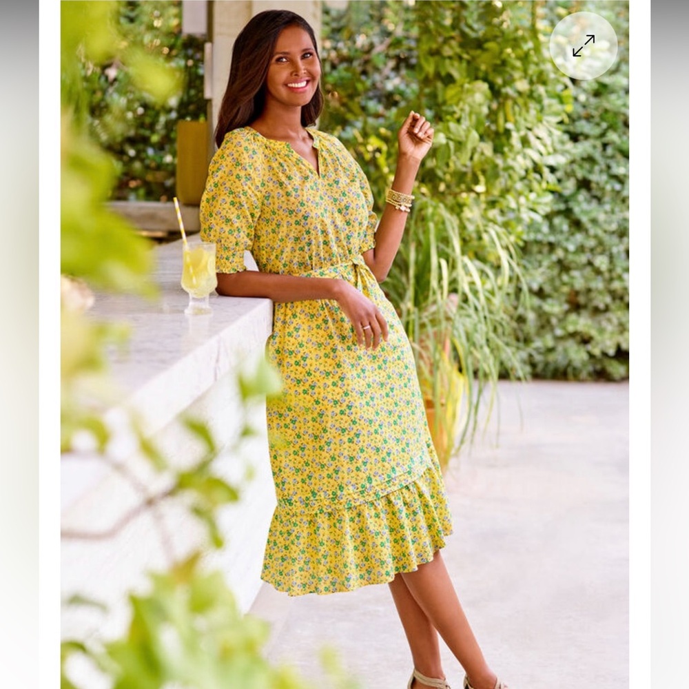 Talbots Floral Smocked Voile Fit and Flare Short Sleeve Dress LP